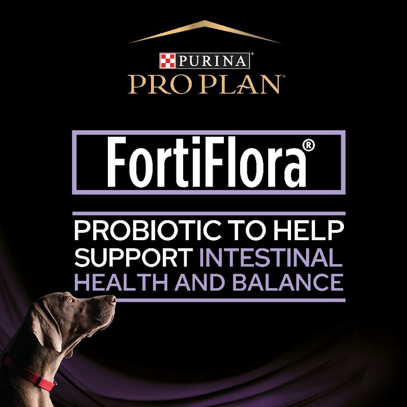 PURINA PRO PLAN Fortiflora Canine Probiotic || Pro Plan || view 7