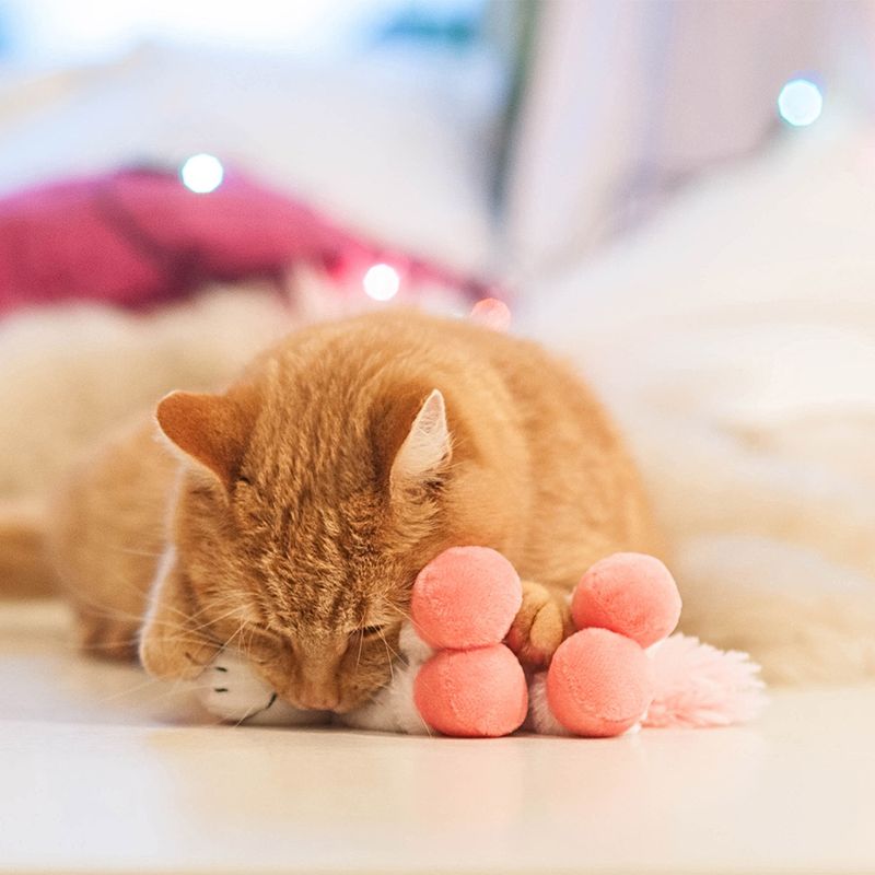 Red cat playing with a pink plush toy on a white surface.