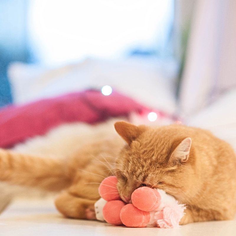 Red cat playing with a pink plush toy shaped like a paw on a bed.