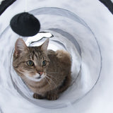 Brown tabby cat sitting in a white play tunnel with a hanging black ball. Tunnel serves as a toy for cats.