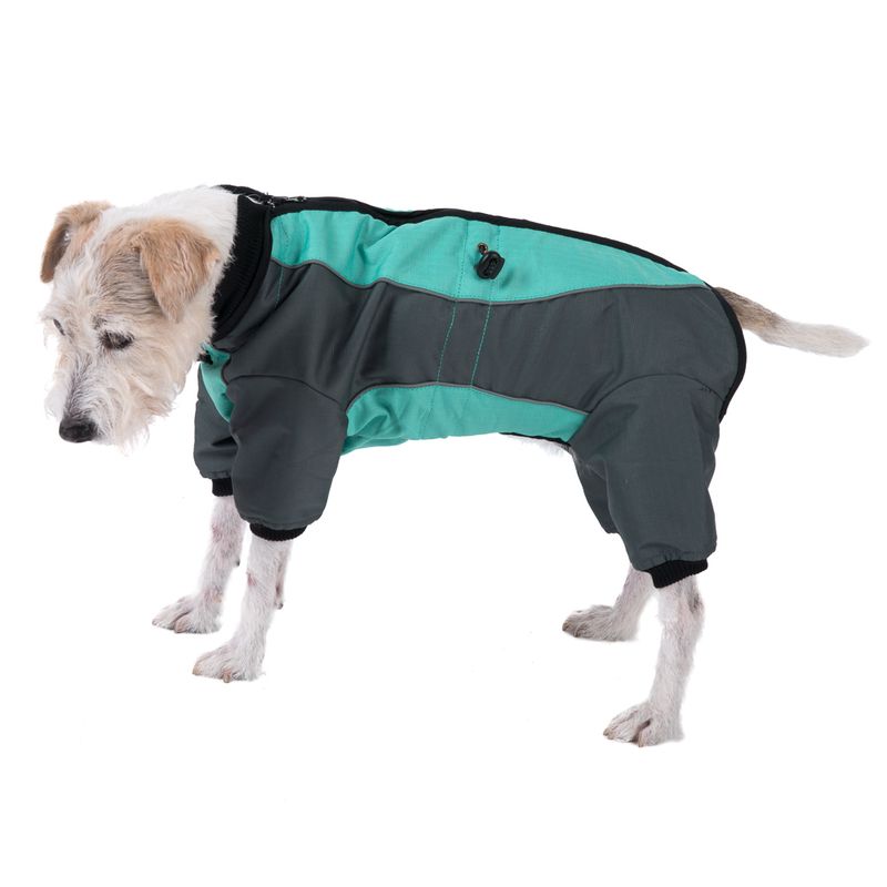 Dog Overall - Mint || zooplus Exclusive || view 4