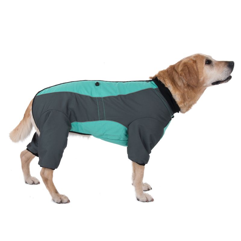 Dog Overall - Mint || zooplus Exclusive || view 15