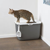 Cat standing on top-entry litter box with scoop attached, demonstrating how the product is used.