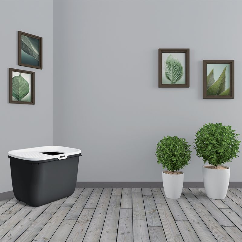 Black cat litter box with white lid and entry, placed in a room with wooden floor, green plants in white pots and wall pictures with leaf motifs.