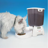 Cat Mate automatic feeder with digital display, filled with dry food. Dog eating from the food bowl.