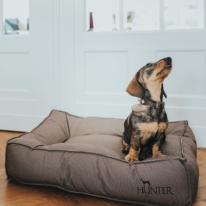 Dog sitting on a brown dog bed with HUNTER logo, in front of a white door.