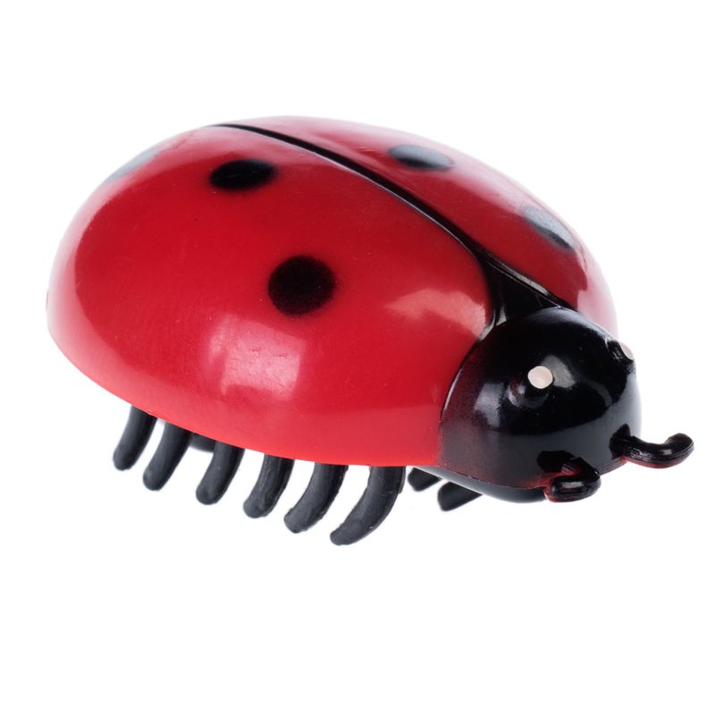 Toy in ladybird design with red body, black spots and legs. Suitable for pets to play with.