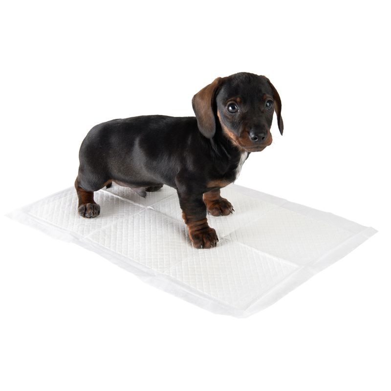 zooplus Puppy Trainer Pads || zooplus Exclusive || view 10