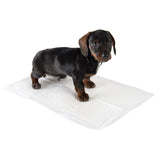 zooplus Puppy Trainer Pads || zooplus Exclusive || view 10