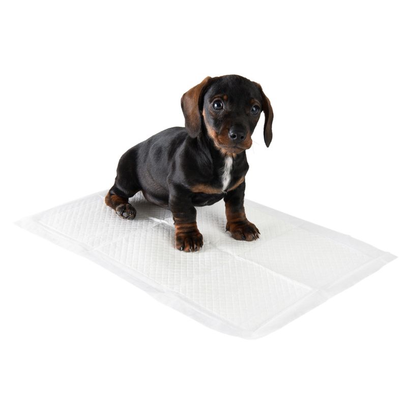 zooplus Puppy Trainer Pads || zooplus Exclusive || view 3