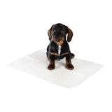 zooplus Puppy Trainer Pads || zooplus Exclusive || view 6