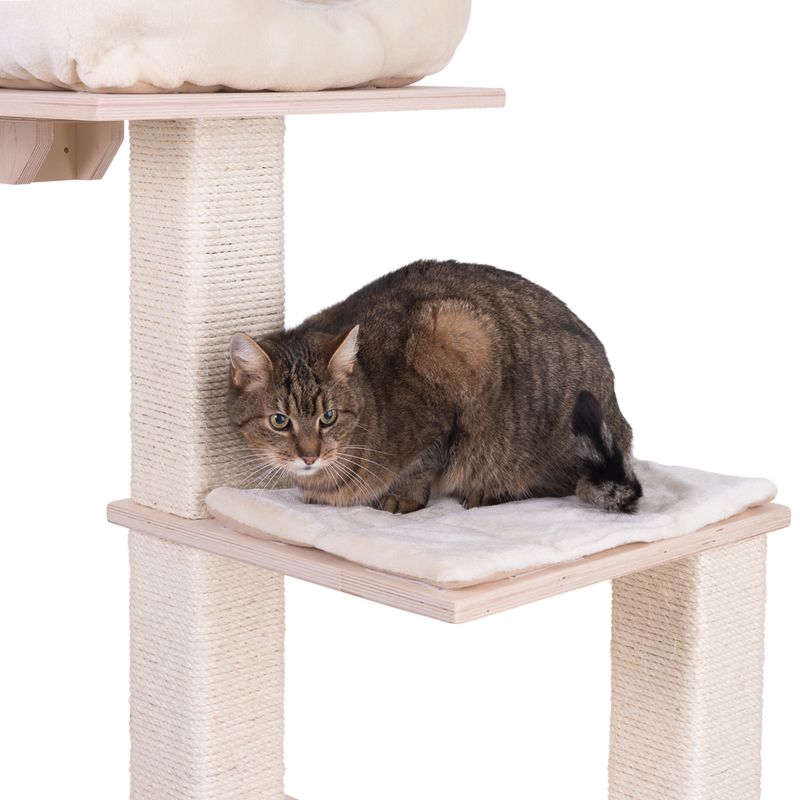 Brown cat sitting on a scratching post with sisal-wrapped columns and padded wooden resting surfaces.