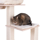 Brown cat sitting on a scratching post with sisal-wrapped columns and padded wooden resting surfaces.