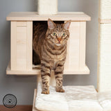 Brown tabby cat standing in front of a scratching post with wooden house and sisal posts. Visible padded lying surface in cream colour.