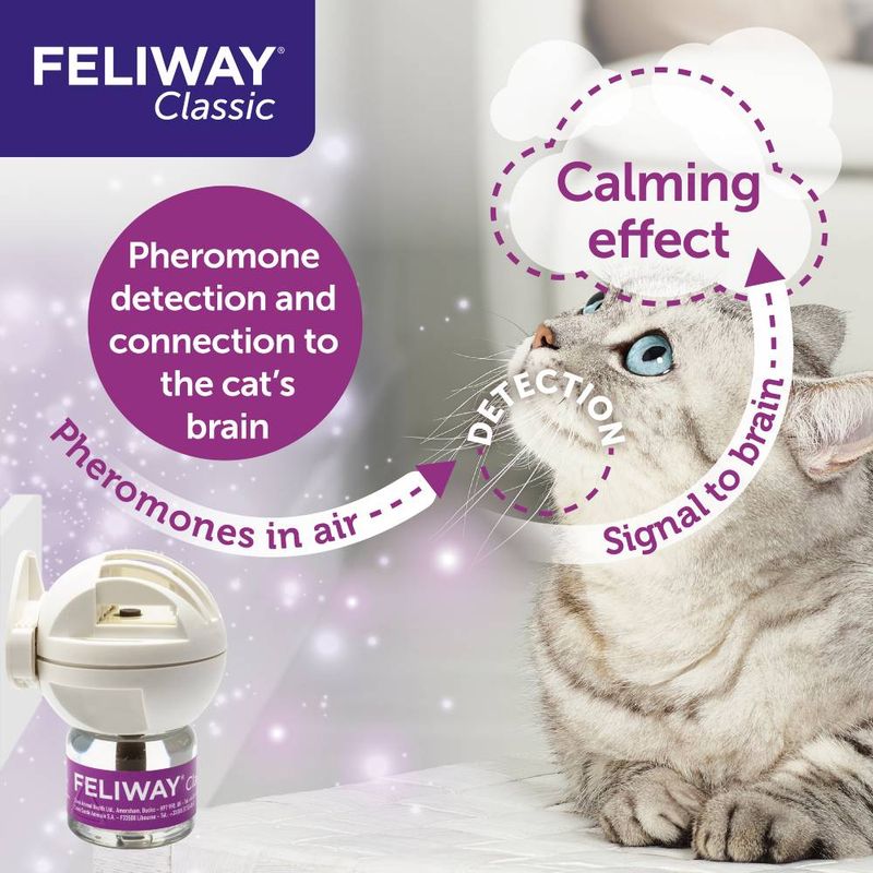Feliway® Classic Spray || undefined || view 5