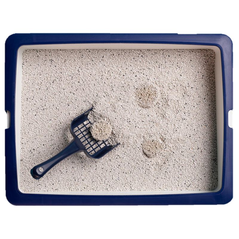 Catsan Active Fresh Clumping Litter || Catsan || view 2