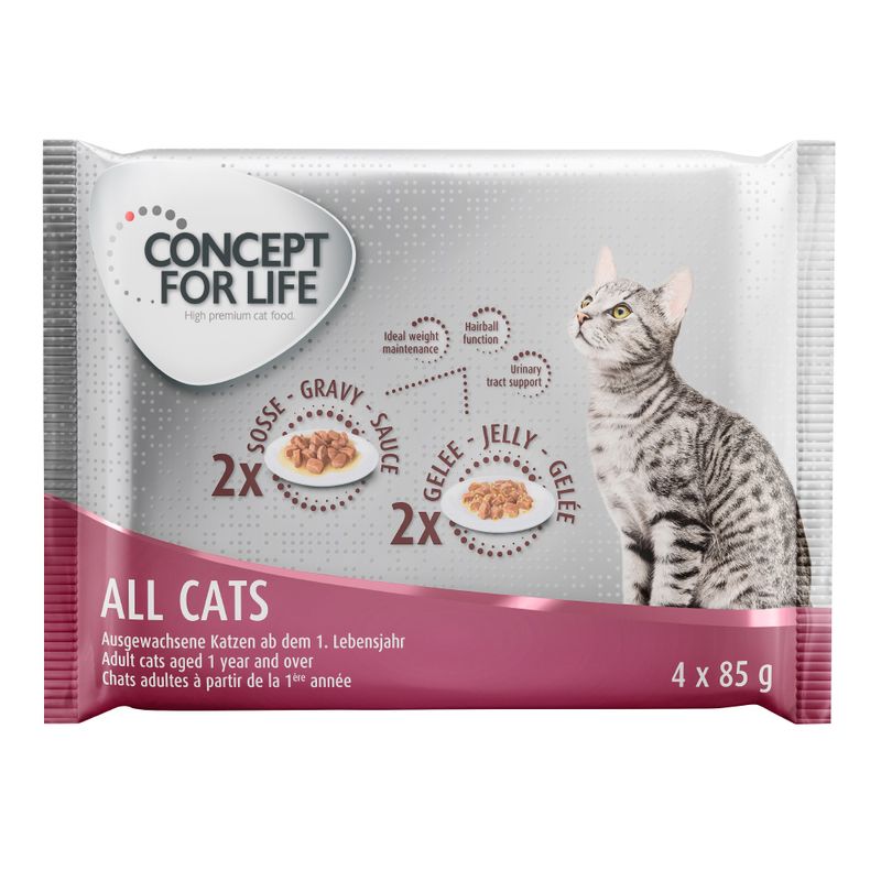 Concept for Life Mixed Trial Pack 4 x 85g || Concept for Life || view 3