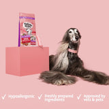 Barking Heads All Hounder Hair Necessities Salmon || barking heads || view 9