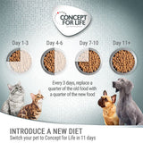 Concept for Life Economy Packs || undefined || view 2