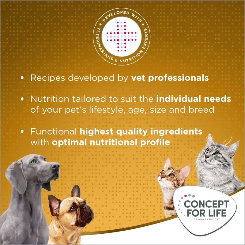 Concept for Life Indoor Cats || Concept for Life || view 11