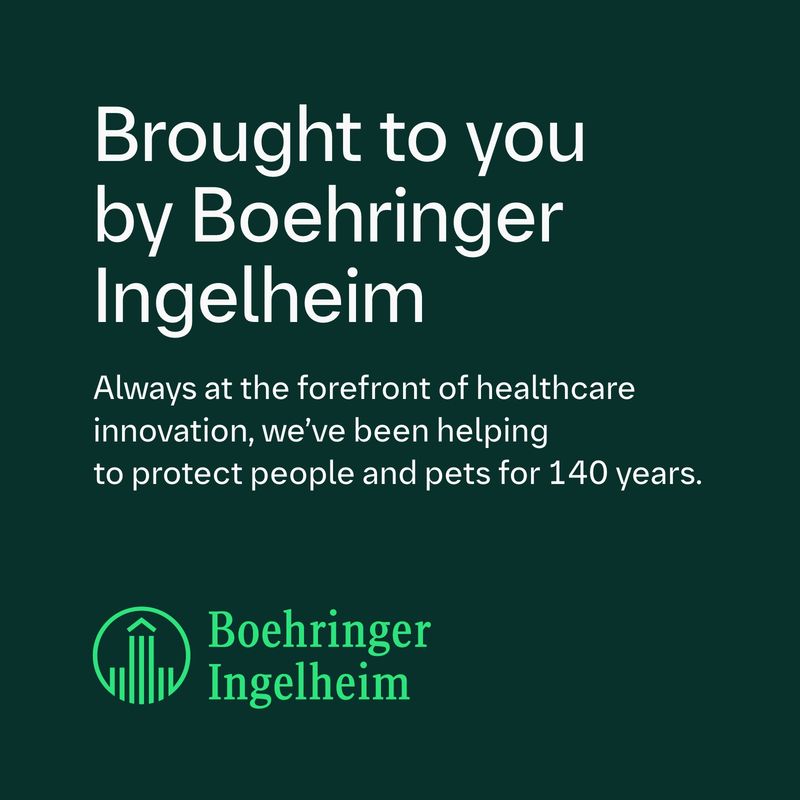 FRONTLINE® Wormer XL Tablets for Dogs || Frontline || view 7