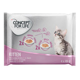 Concept for Life Mixed Trial Pack 4 x 85g || Concept for Life || view 4
