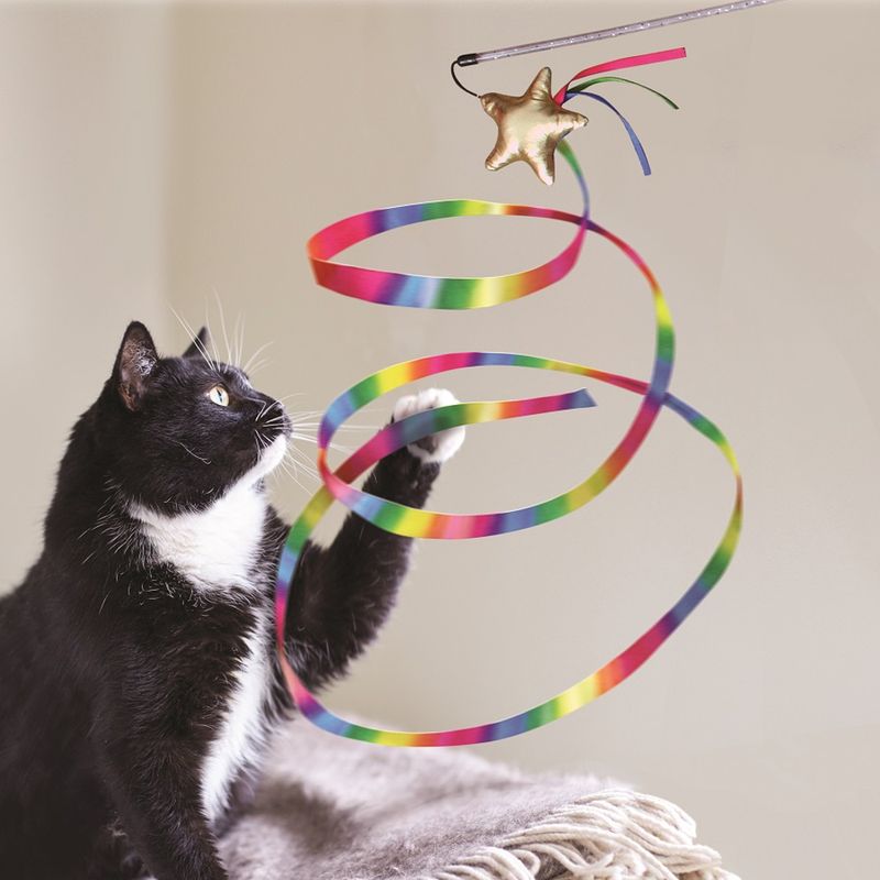 Play wand with gold-coloured star and colourful ribbon, played with by a black and white cat.