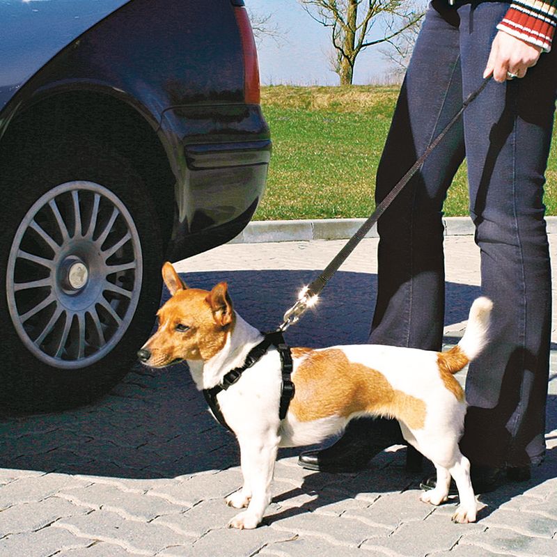 Trixie Dog Car Harness || Trixie || view 10