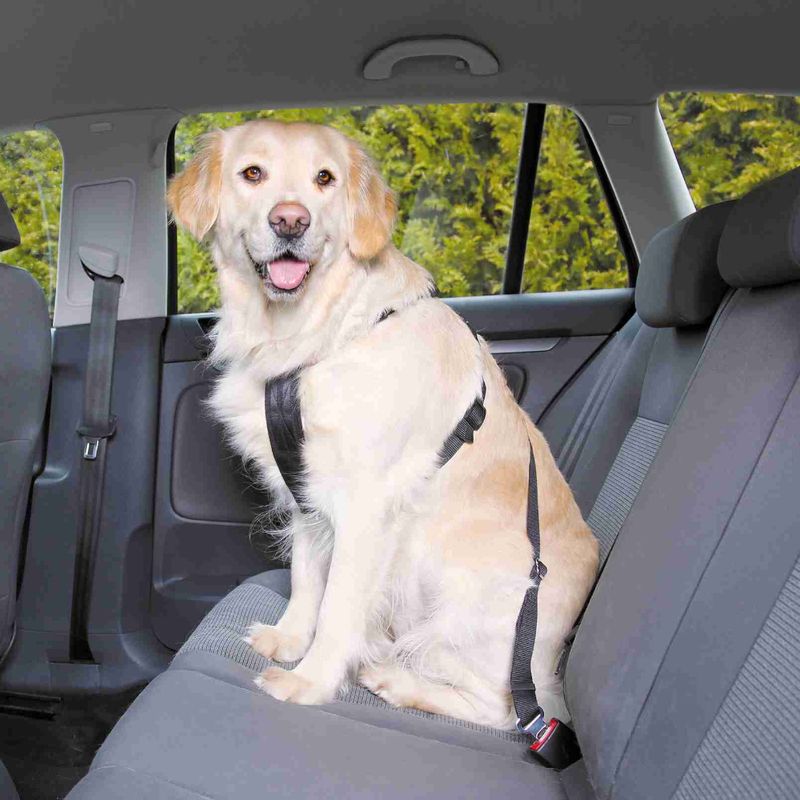 Trixie Dog Car Harness || Trixie || view 9
