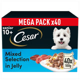 Cesar 10+ Senior Selection in Jelly || Cesar || view 2