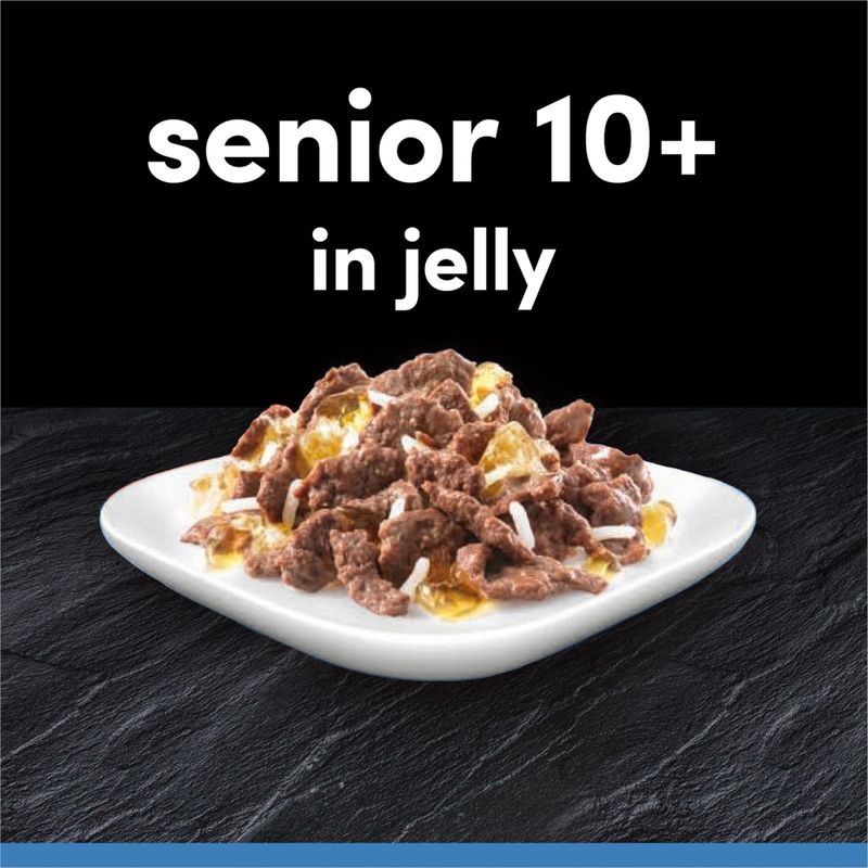 Cesar 10+ Senior Selection in Jelly || Cesar || view 4