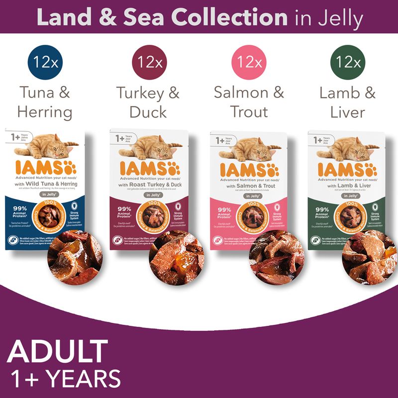 IAMS Delights Adult - Land & Sea Collection Mega Pack 48 x 85g || undefined || view 18