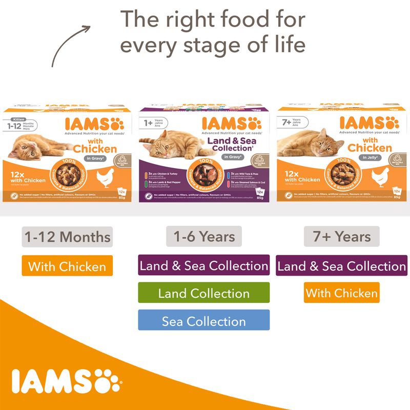 IAMS Delights Adult - Land & Sea Collection Mega Pack 48 x 85g || undefined || view 16
