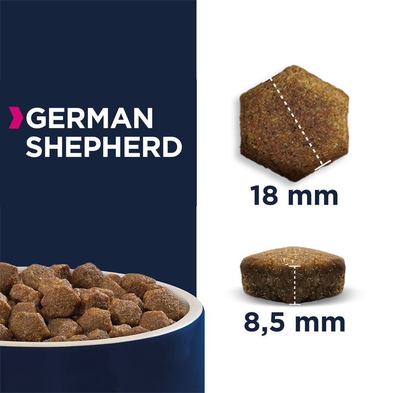 Eukanuba German Shepherd Adult || Eukanuba || view 3
