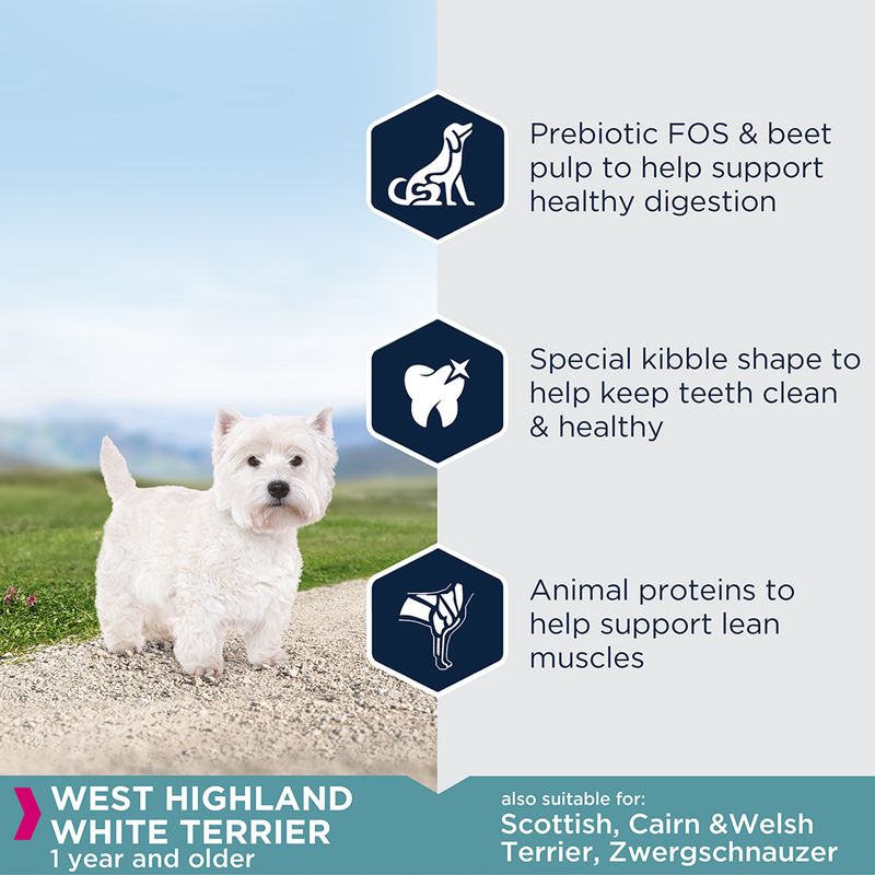 Eukanuba West Highland White Terrier Adult || Eukanuba || view 2
