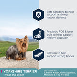 Eukanuba Yorkshire Terrier Adult || Eukanuba || view 2