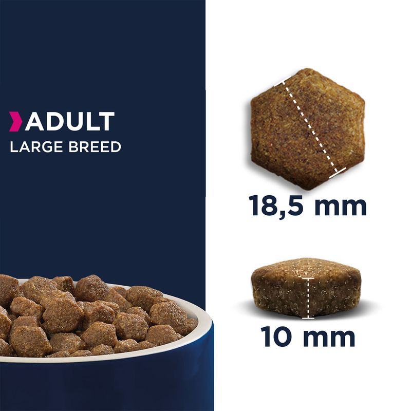 Eukanuba Adult Large Breed Salmon || Eukanuba || view 2
