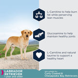 Eukanuba Labrador Retriever Adult || Eukanuba || view 4