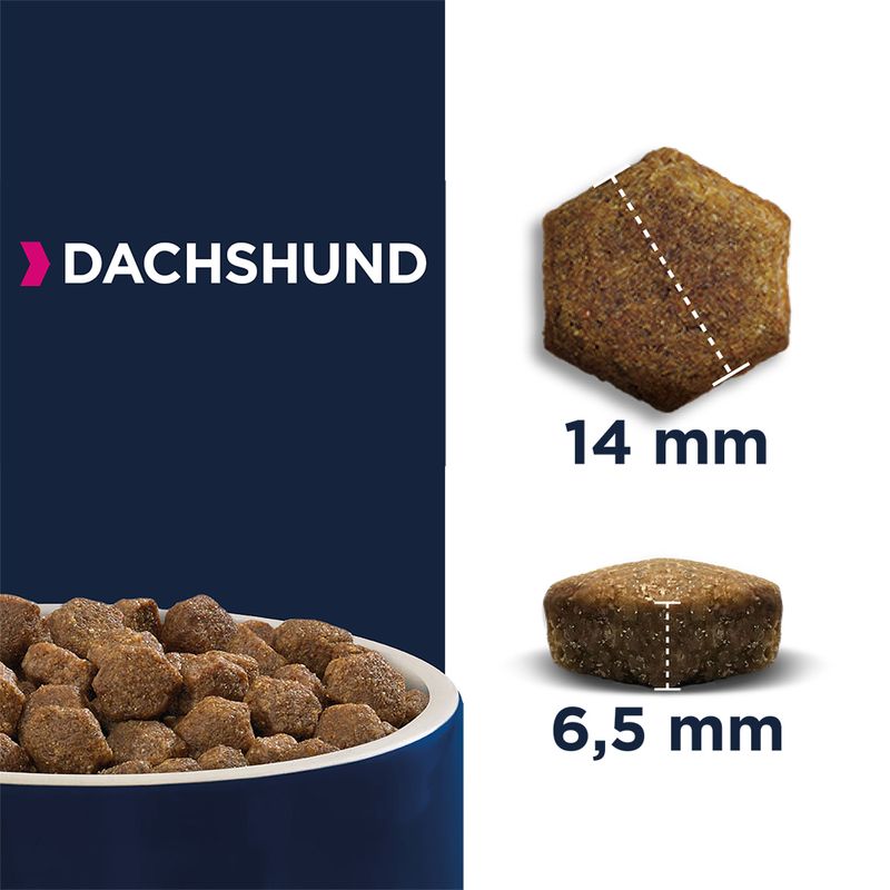Eukanuba Dachshund Adult || Eukanuba || view 5