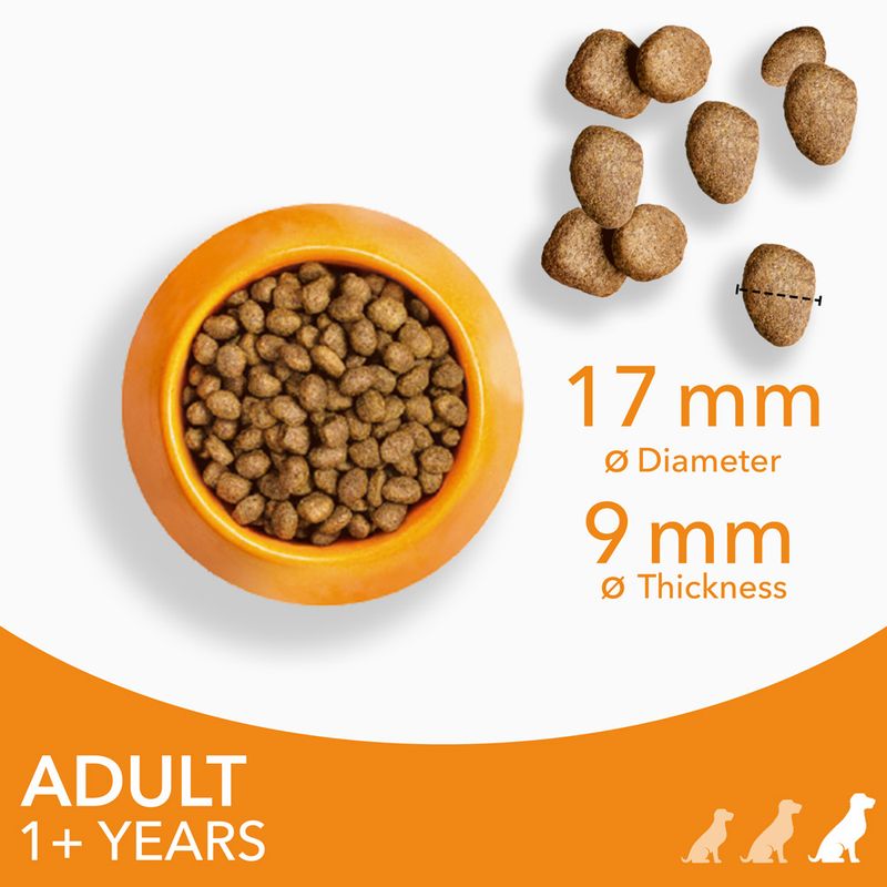 IAMS Advanced Nutrition Adult Large Dog - Chicken || undefined || view 4