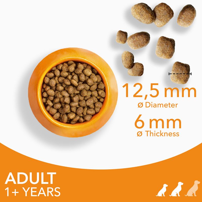IAMS Advanced Nutrition Adult Small & Medium Dog - Chicken || undefined || view 4
