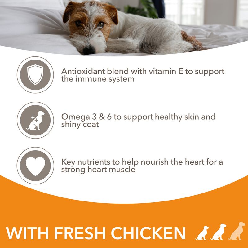 IAMS Advanced Nutrition Adult Small & Medium Dog - Chicken || undefined || view 3