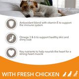 IAMS Advanced Nutrition Adult Small & Medium Dog - Chicken || undefined || view 3