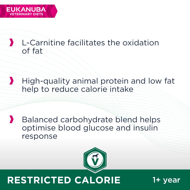 Eukanuba Veterinary Diet Restricted Calorie || undefined || view 5