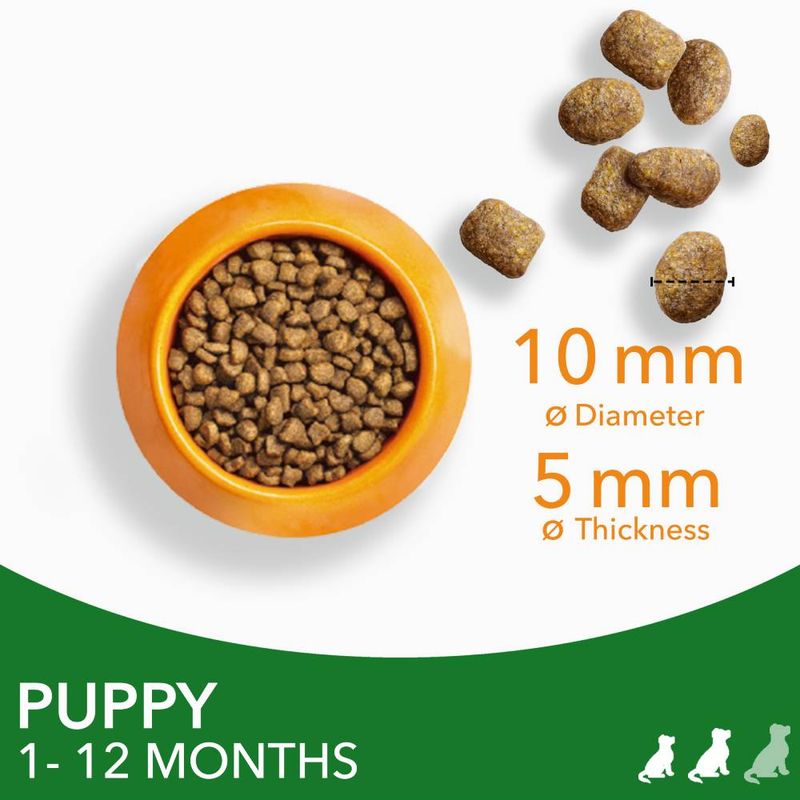 IAMS Advanced Nutrition Adult Small & Medium Dog - Lamb || undefined || view 4
