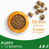 IAMS Advanced Nutrition Adult Small & Medium Dog - Lamb || undefined || view 4