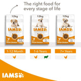 IAMS Advanced Nutrition Adult Large Dog - Lamb || IAMS || view 7