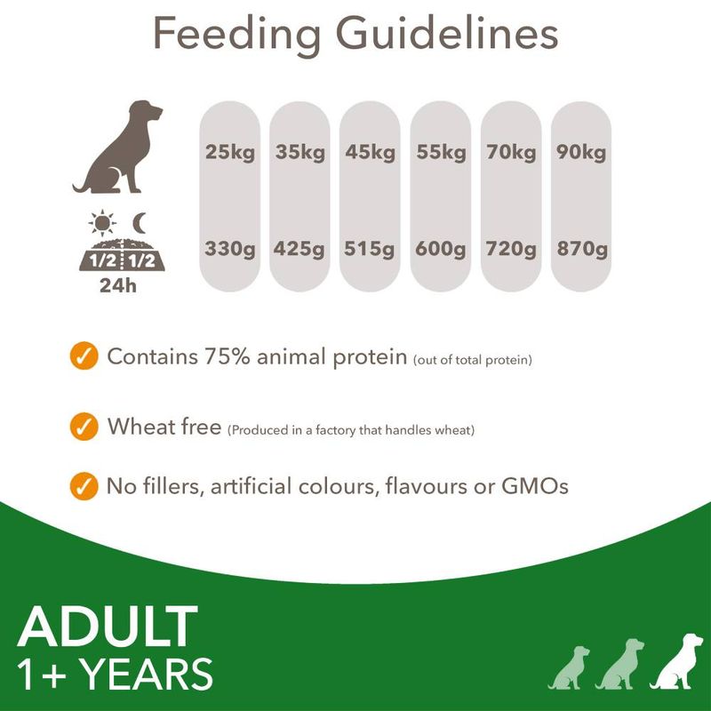 IAMS Advanced Nutrition Adult Large Dog - Lamb || IAMS || view 6