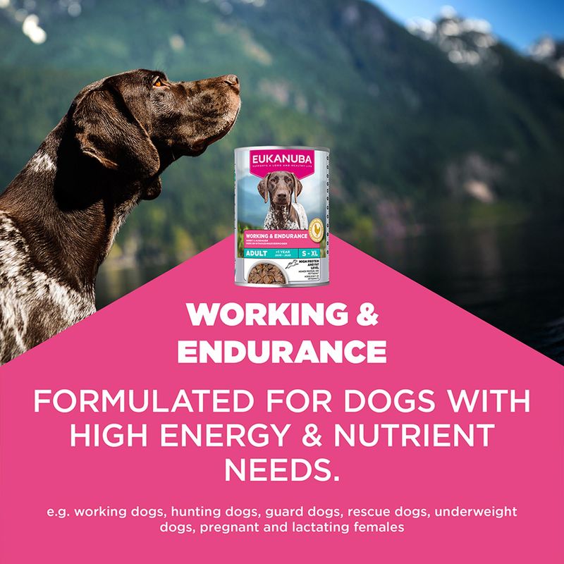 Eukanuba Special Care Adult Working & Endurance