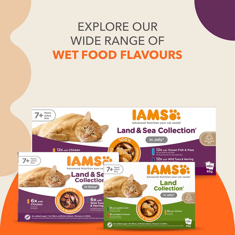 IAMS Advanced Nutrition Senior Land & Sea Collection in Gravy || undefined || view 11
